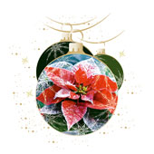 Weihnachtskarten-Dekore