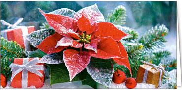 2025 für Firmen | Kategorie Weihnachtliche  Fotoimpressionen | Motiv: Weihnachtsstern-Geschenk - Artikel Nummer 31175