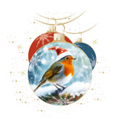 Weihnachtskarten-Dekore