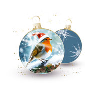 Weihnachtskarten-Dekore