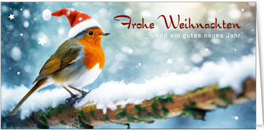 2025 für Firmen | Kategorie Weihnachtliche  Fotoimpressionen | Motiv: Entzückendes Rotkehlchen - Artikel Nummer 31177