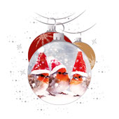 Weihnachtskarten-Dekore