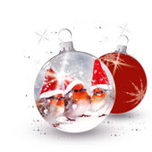 Weihnachtskarten-Dekore