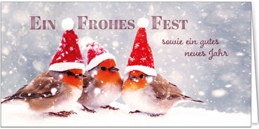 2025 für Firmen | Kategorie Humor | Motiv: Rotkehlchengesang - Artikel Nummer 31202