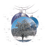 Weihnachtskarten-Dekore