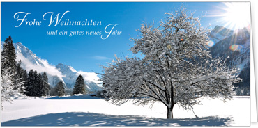 2025 Kategorie Winterlandschaften | Motiv: Wintermorgen - Artikel Nummer 31271