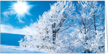 2025 Kategorie Winterlandschaften | Motiv: Glitzersonne - Artikel Nummer 31273