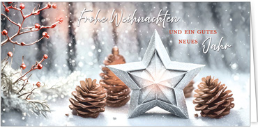 2025 für Firmen | Kategorie Weihnachtliche  Fotoimpressionen | Motiv: Wunschstern - Artikel Nummer 31276