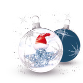 Weihnachtskarten-Dekore