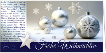 2025 für Firmen | Kategorie Silberne Impressionen | Motiv: Silberkugel-Gala - Artikel Nummer 31291