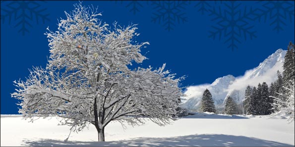 2023 für Firmen | Kategorie Winterlandschaften | Motiv: Verschneiter Baum - Artikel Nummer 41101