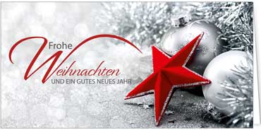 2025 für Firmen | Kategorie Rote Impressionen | Motiv: Wunschstern in Rot - Artikel Nummer 41128