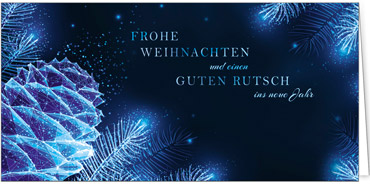 Eine Silberkarte mit funkelnden Tannenzweigen und einem Tannenzapfen verbunden mit Weihnachtswünsche