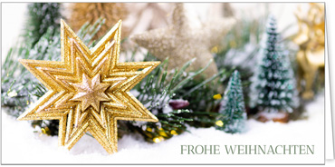 2025 für Firmen | Kategorie Weihnachtliche  Fotoimpressionen | Motiv: Glitzerstern in Gold - Artikel Nummer 41949