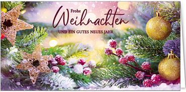 2025 für Firmen | Kategorie Weihnachtliche  Fotoimpressionen | Motiv: Funkelnde Rebensterne - Artikel Nummer 41984