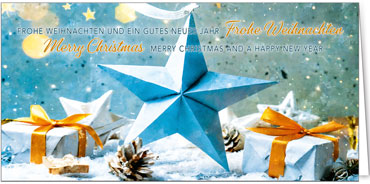 2025 für Firmen | Kategorie Weihnachtliche  Fotoimpressionen | Motiv: Überraschungsstern - Artikel Nummer 41985