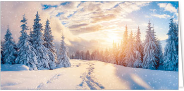 2025 Kategorie Winterlandschaften | Motiv: Schneespuren - Artikel Nummer 42014