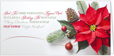 2025 für Firmen | Kategorie Weihnachtliche  Fotoimpressionen | Motiv: Blütenwünsche - Artikel Nummer 42017