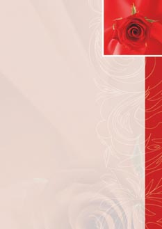 2025 Glückwunschbriefpapier-2025 | Motiv: Glückwunschbriefpapier DIN A4  21 x 29,7 cm - Artikel Nummer 80503