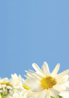 2025 Glückwunschbriefpapier-2025 | Motiv: Glückwunschbriefpapier DIN A4  21 x 29,7 cm - Artikel Nummer 80506