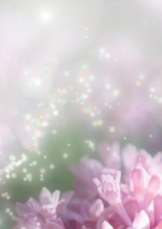 2025 Glückwunschbriefpapier-2025 | Motiv: Glückwunschbriefpapier DIN A4  21 x 29,7 cm - Artikel Nummer 80507