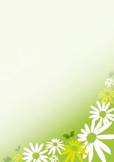 2025 Glückwunschbriefpapier-2025 | Motiv: Glückwunschbriefpapier DIN A4  21 x 29,7 cm - Artikel Nummer 80510