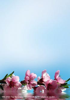 2025 Glückwunschbriefpapier-2025 | Motiv: Glückwunschbriefpapier DIN A4  21 x 29,7 cm - Artikel Nummer 80512