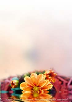 2025 Glückwunschbriefpapier-2025 | Motiv: Glückwunschbriefpapier DIN A4  21 x 29,7 cm - Artikel Nummer 80514