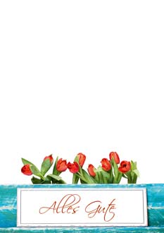 2025 Glückwunschbriefpapier-2025 | Motiv: Glückwunschbriefpapier DIN A4  21 x 29,7 cm - Artikel Nummer 80515