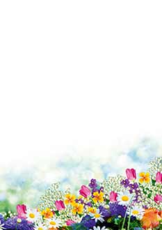 2025 Glückwunschbriefpapier-2025 | Motiv: Glückwunschbriefpapier DIN A4  21 x 29,7 cm - Artikel Nummer 80517