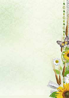 2025 Glückwunschbriefpapier-2025 | Motiv: Glückwunschbriefpapier DIN A4  21 x 29,7 cm - Artikel Nummer 80518