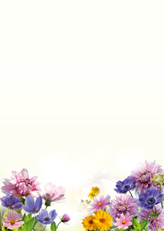 2025 Glückwunschbriefpapier-2025 | Motiv: Glückwunschbriefpapier DIN A4  21 x 29,7 cm - Artikel Nummer 80519