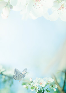 2025 Glückwunschbriefpapier-2025 | Motiv: Glückwunschbriefpapier DIN A4  21 x 29,7 cm - Artikel Nummer 80520