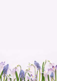 2025 Glückwunschbriefpapier-2025 | Motiv: Glückwunschbriefpapier DIN A4  21 x 29,7 cm - Artikel Nummer 80524