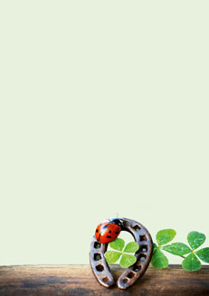 2025 Glückwunschbriefpapier-2025 | Motiv: Glückwunschbriefpapier DIN A4  21 x 29,7 cm - Artikel Nummer 80525