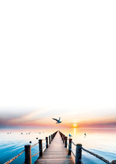 2025 Glückwunschbriefpapier-2025 | Motiv: Glückwunschbriefpapier DIN A4  21 x 29,7 cm - Artikel Nummer 80527