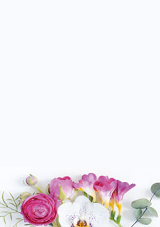 2025 Glückwunschbriefpapier-2025 | Motiv: Glückwunschbriefpapier DIN A4  21 x 29,7 cm - Artikel Nummer 80530